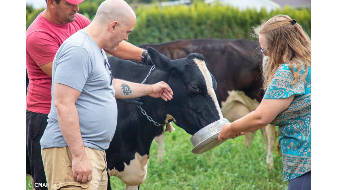 Rota turística dedicada ao leite e queijo em Angra do Heroísmo – Imagem 2