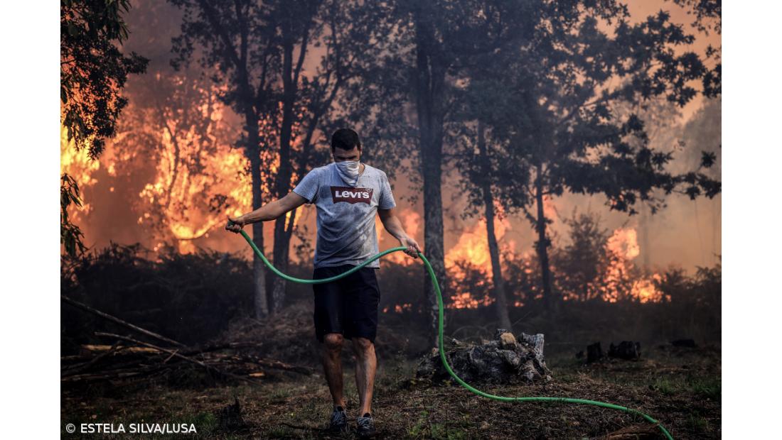 Fogo em Azeméis combatido por 506 operacionais, quatro bombeiros feridos