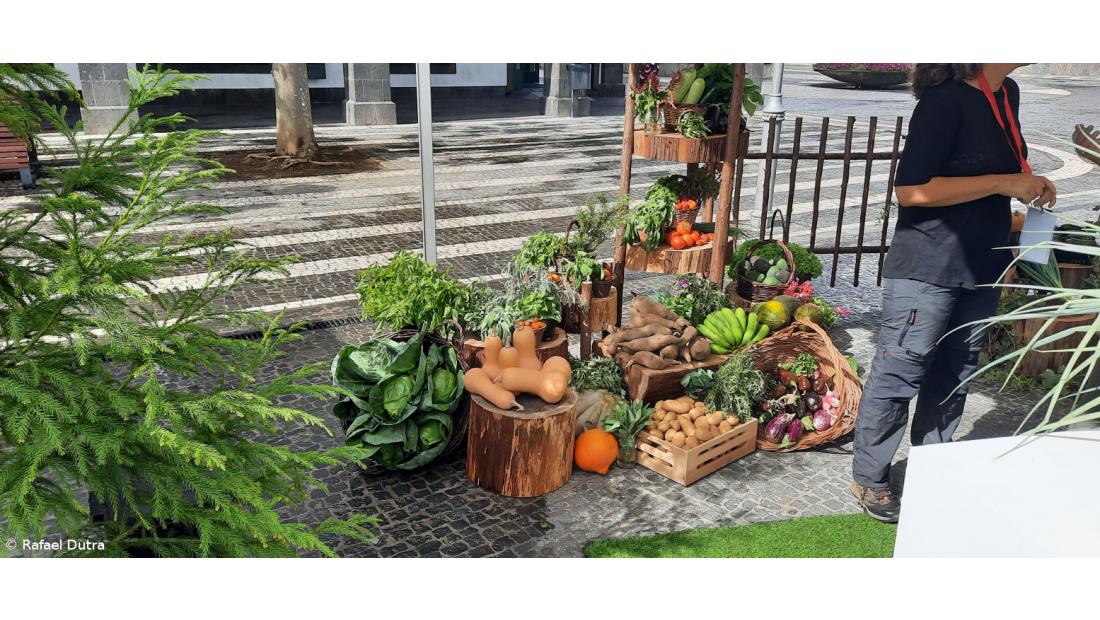 Existem nos Açores mais de 200 produtores biológicos – Imagem 3