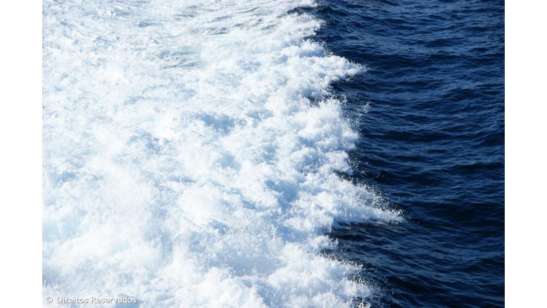 Oceana realiza investigação para estudar banco de Gorringe