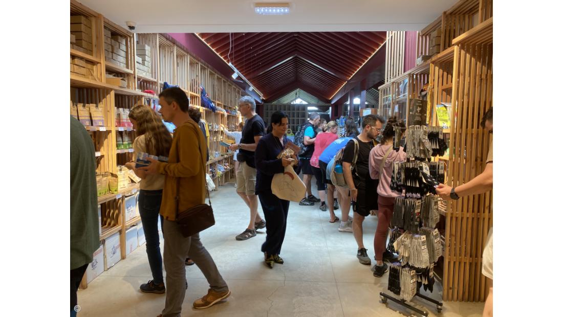 Gorreana: um chá com memória – Imagem 2