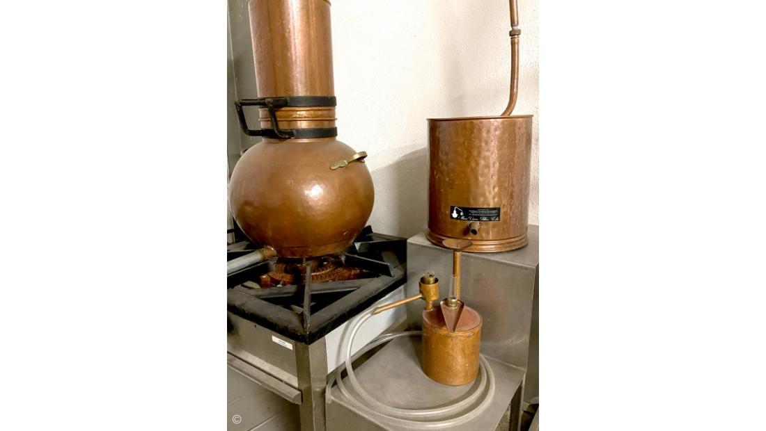 Empresa Açoriana produz óleos essenciais e produtos de cosmética 100% naturais – Imagem 2