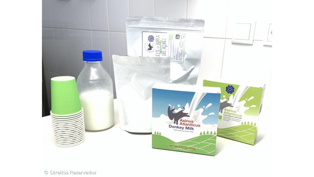 Leite de Burra açoriano exportado para consumo humano e produtos de cosmética – Imagem 2