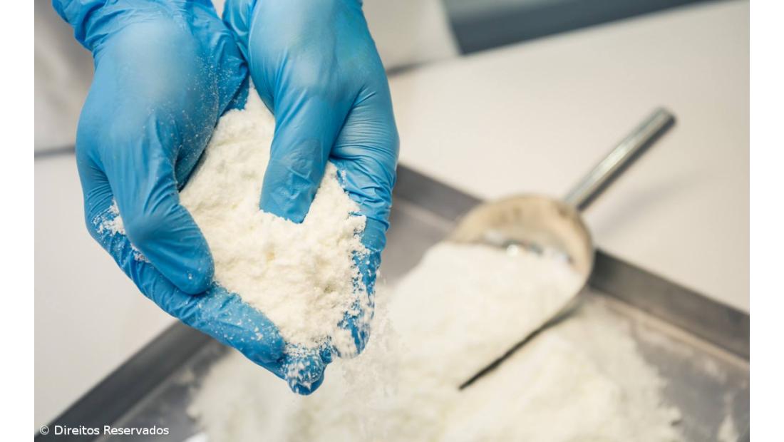 Leite de Burra açoriano exportado para consumo humano e produtos de cosmética – Imagem 7