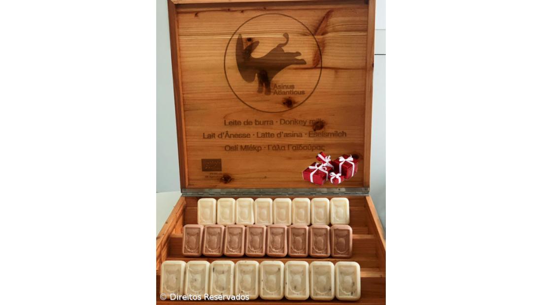 Leite de Burra açoriano exportado para consumo humano e produtos de cosmética – Imagem 8
