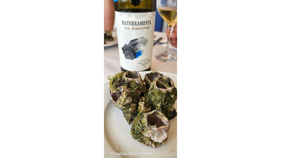 Luís Vasco Cunha acredita que o sucesso passa por “manter as portas abertas, muito em particular as da mente” – Imagem 2