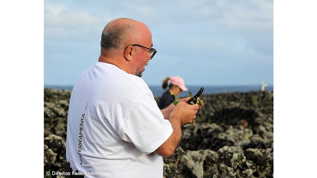 Luís Vasco Cunha acredita que o sucesso passa por “manter as portas abertas, muito em particular as da mente” – Imagem 3