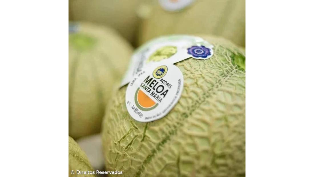 A singular meloa da Ilha Amarela – Imagem 1