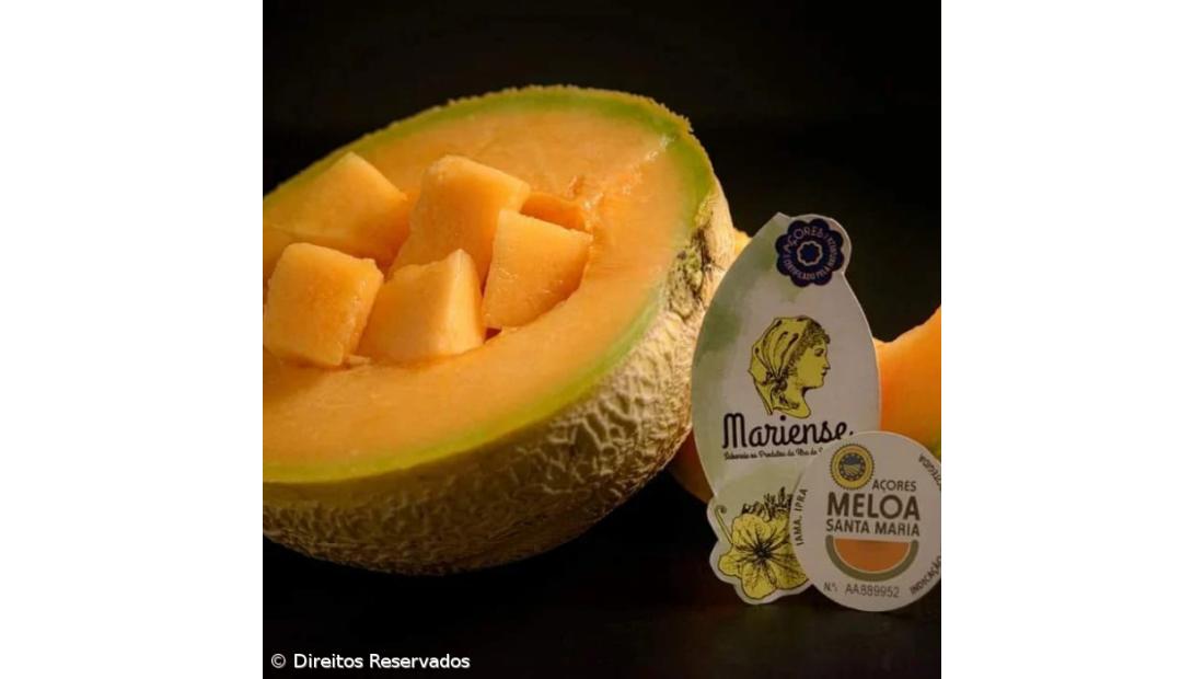 A singular meloa da Ilha Amarela – Imagem 2