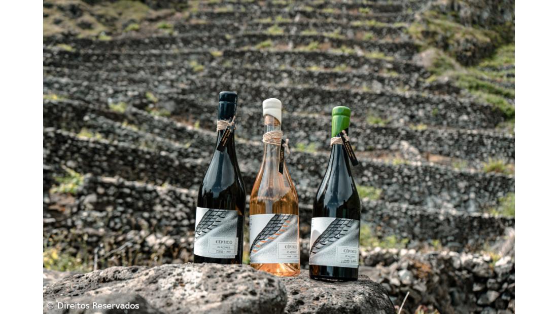 A singular meloa da Ilha Amarela – Imagem 3