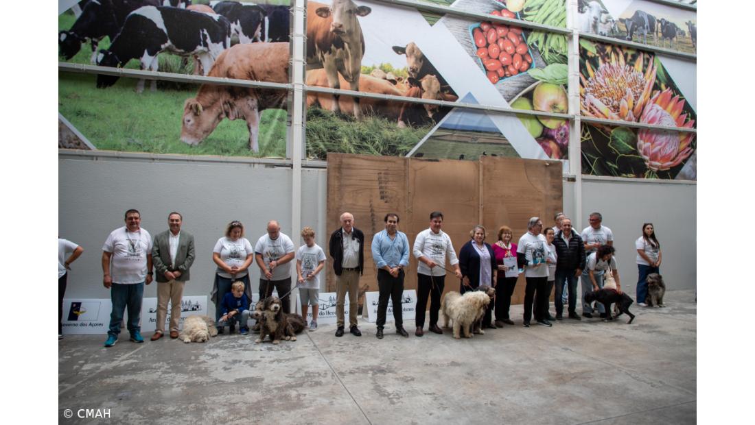 Lançamento do Livro "O Cão Barbado da Terceira" e 'Mega Encontro do Barbado da Terceira'  – Imagem 2