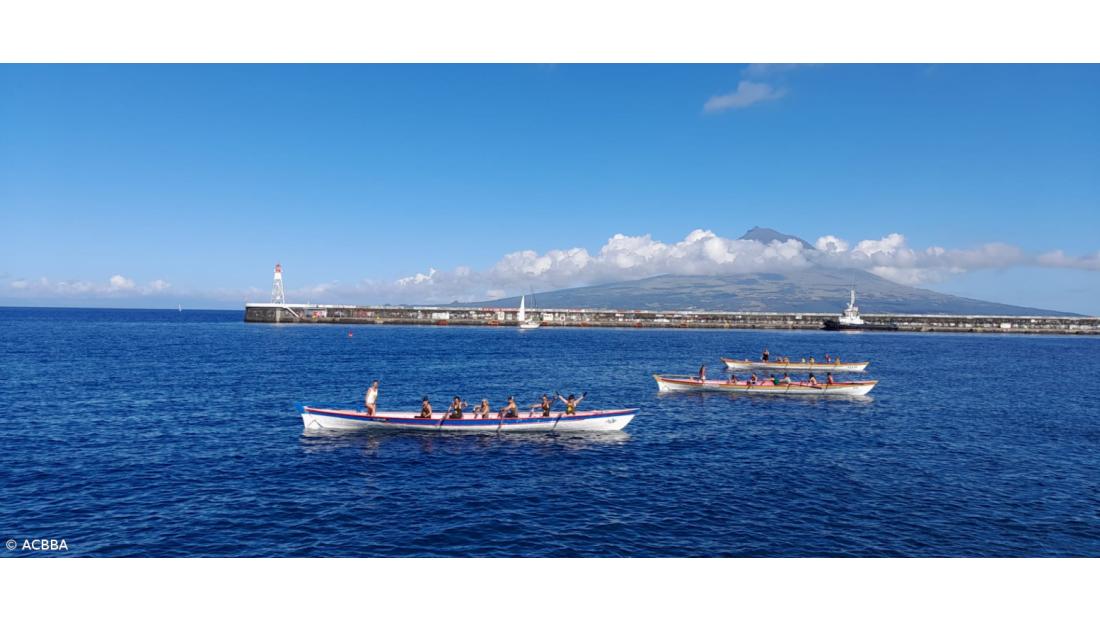 Clube Naval quer começar a fazer regatas de remo e vela
