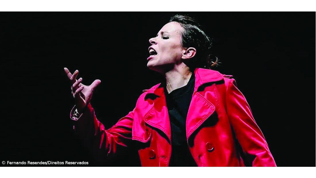 Uma vocação que nasceu na infância e que não esquece as raízes açorianas – Imagem 1