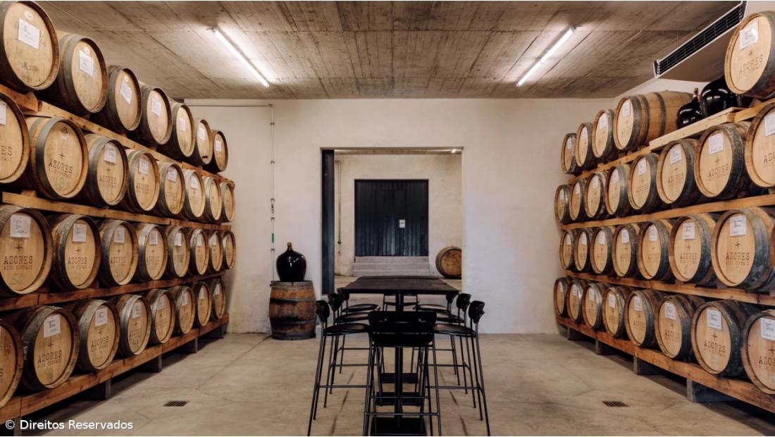 Azores Wine Company, dez anos a revolucionar o setor dos vinhos nos Açores – Imagem 2