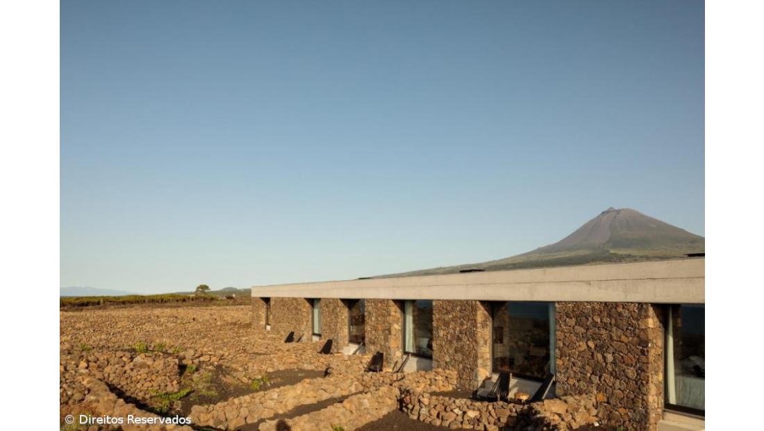 Azores Wine Company, dez anos a revolucionar o setor dos vinhos nos Açores – Imagem 3