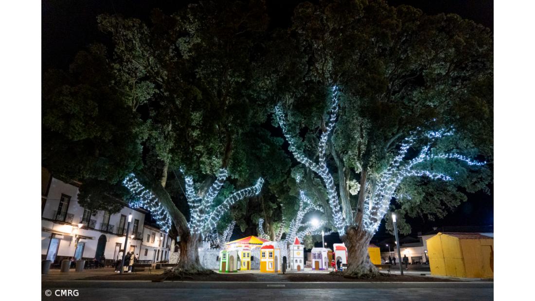 Ribeira Grande prepara Natal com muita animação, música e luz – Imagem 2