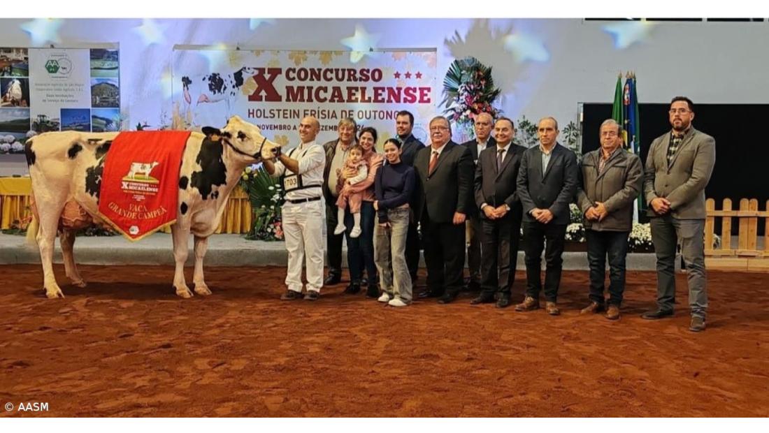 Vaca ‘Maravilha’ foi a Grande Campeã do Concurso de Outono