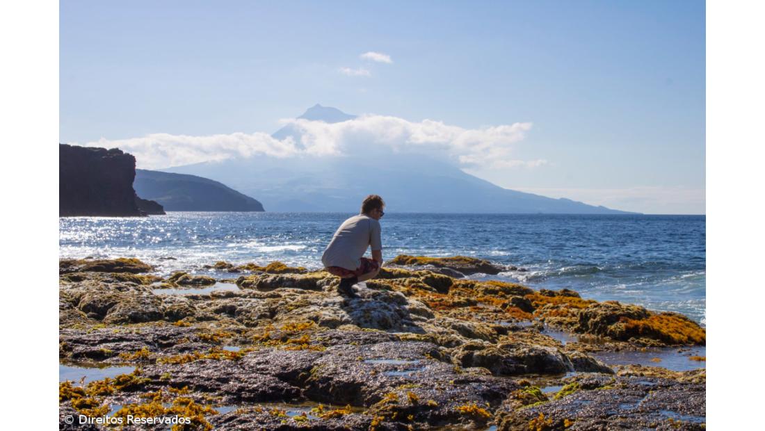 Utilização de algas para alimentação é um dos focos da SeaExpert para o futuro – Imagem 2