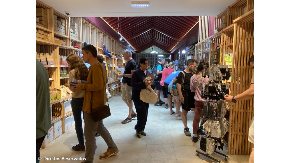 Madalena Motta: “O segredo da longevidade da Gorreana é viver o seu tempo” – Imagem 2