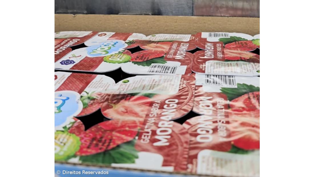 Do leite se faz e aos Açores sabe – Imagem 1