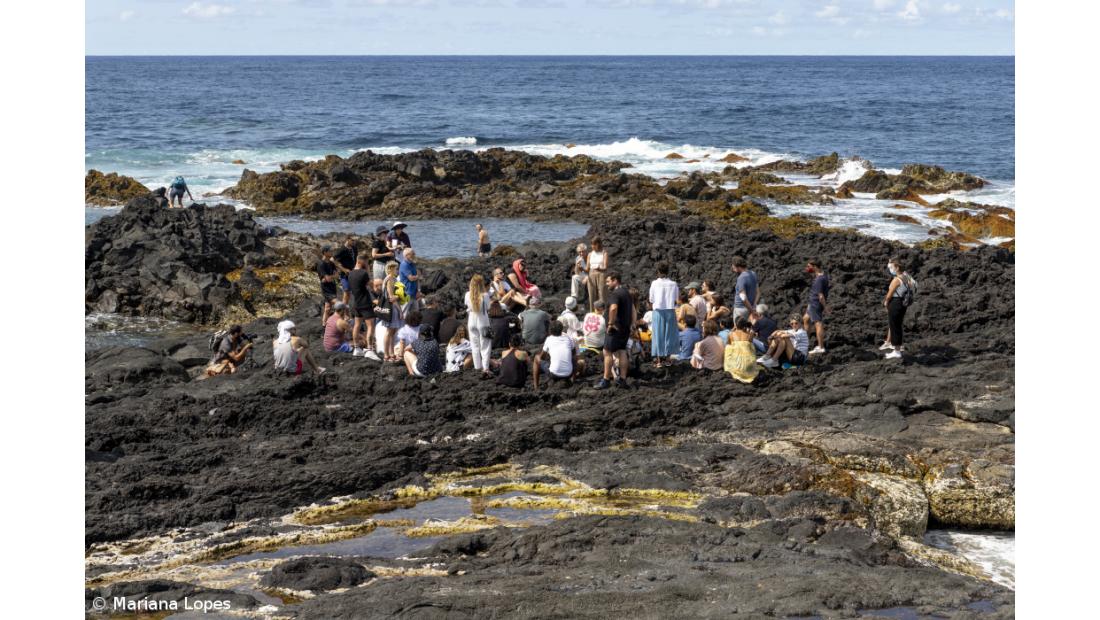 Candidaturas para a primeira Bienal Walk&Talk