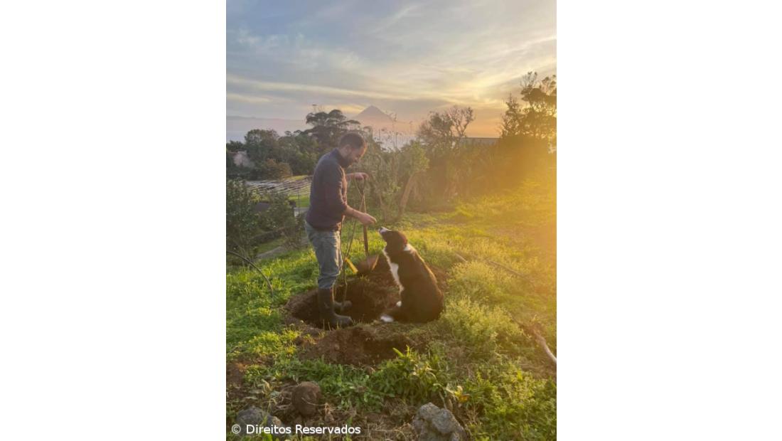 Natureza acolhida e acolhedora – Imagem 2