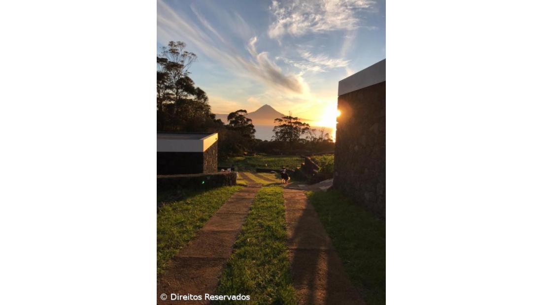 Natureza acolhida e acolhedora – Imagem 3