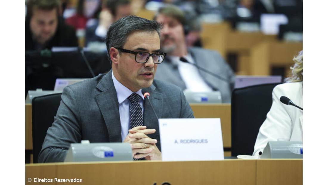 André Rodrigues defende apoio ao setor vitivinícola