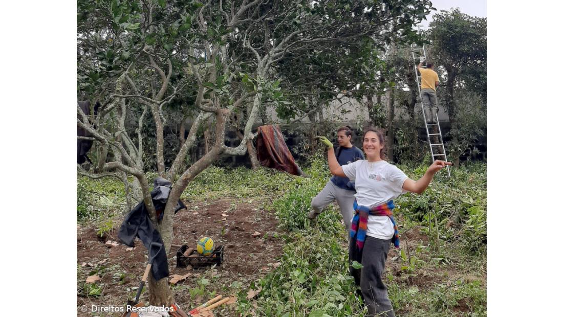 Voluntários criam horta comunitária no Bairro das Laranjeiras