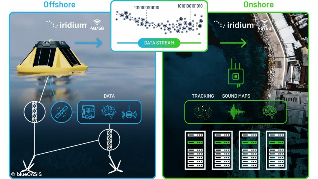 blueOASIS quer tornar os Açores no “Silicon Valley das tecnologias oceânicas” – Imagem 2