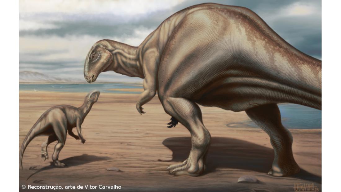 Descoberto novo dinossauro que viveu em Portugal há quase 150 milhões de anos