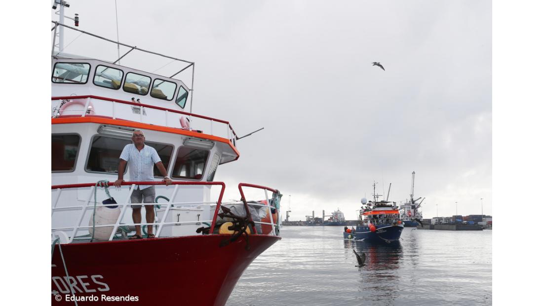 Acordo europeu de pescas prevê menos captura de carapau, solha ou linguado em Portugal
