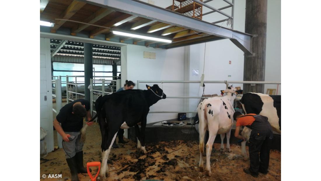 CUA organizou curso que reuniu 60 participantes