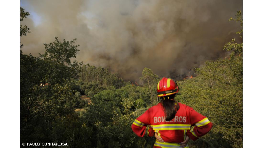 IPMA alerta para subida da temperatura e aumento do perigo de incêndio na próxima semana