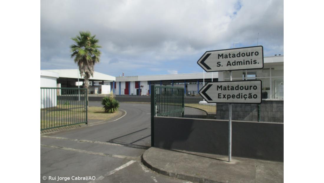 Rede regional de abate dos Açores renova certificação em bem-estar animal