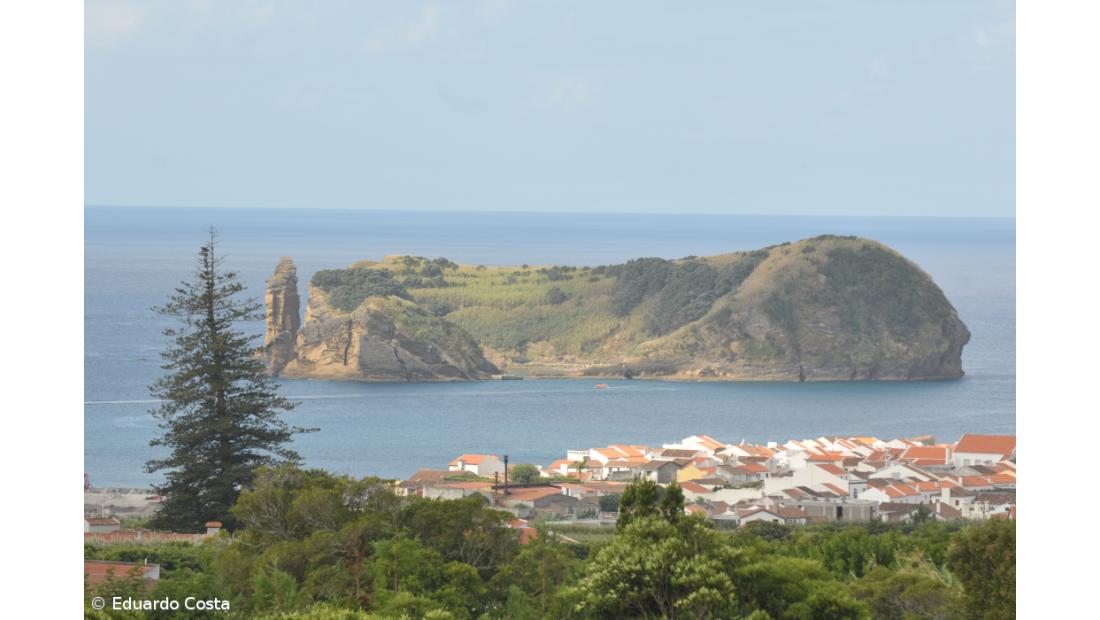 Açores integram calendário da Red Bull Cliff Diving World Series 