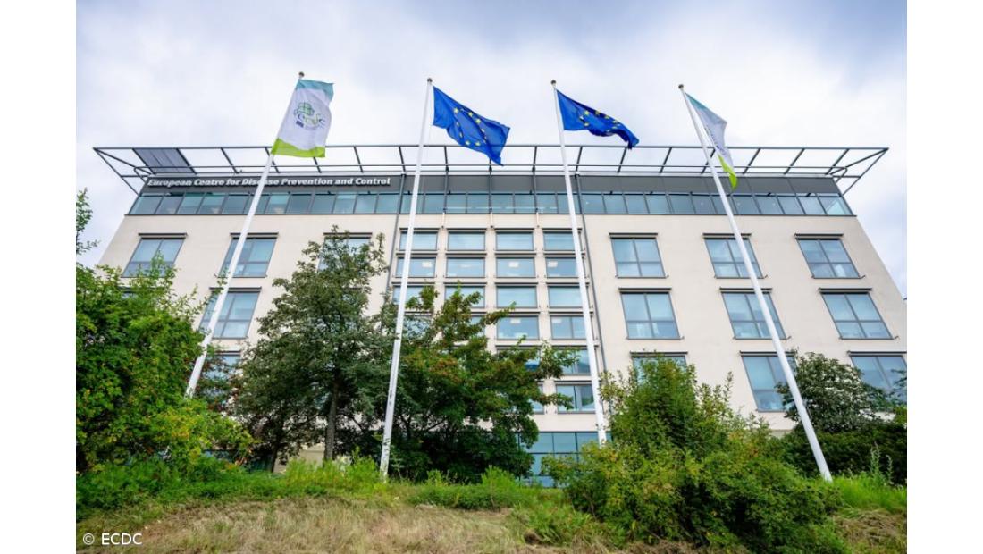 Gripe está a chegar mais cedo e centro europeu de doenças pede para acelerar vacinação