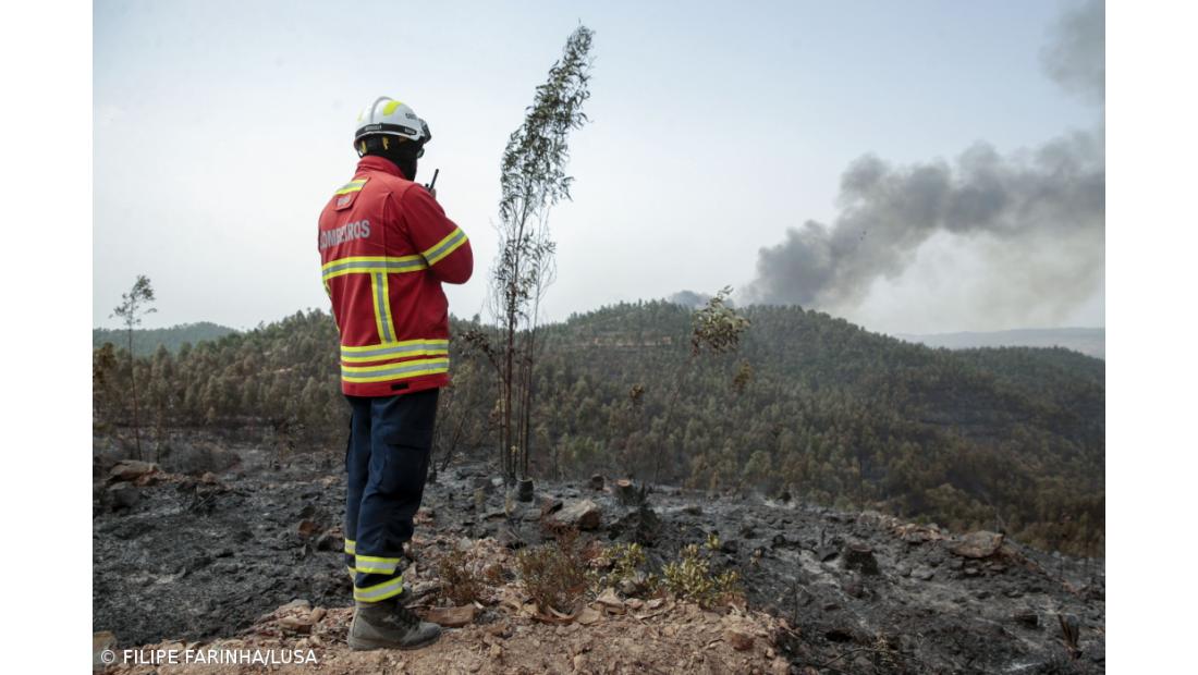 Governo já apoiou em 3,7 ME agricultores afetados pelos incêndios de verão