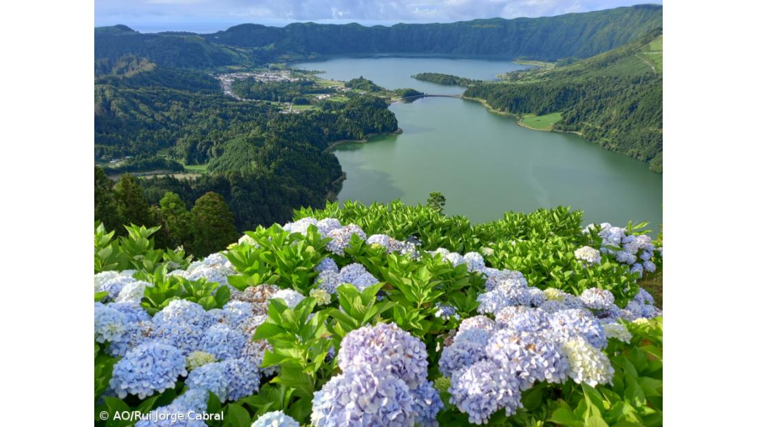 Visit Azores investiu 1,75 ME na promoção da Região no primeiro semestre deste ano