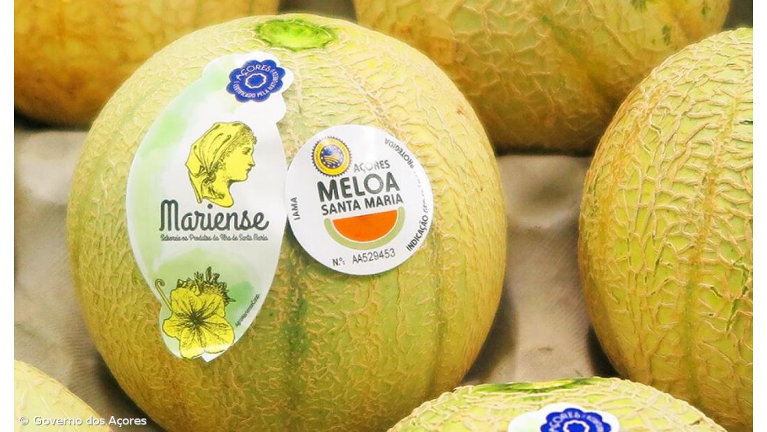 Produtores alertam que transportes estão a limitar produção da meloa de Santa Maria