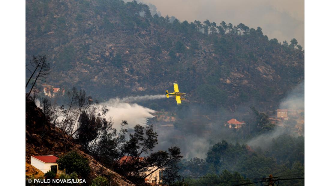 Apoios aos agricultores afetados em 2024 pagos na totalidade