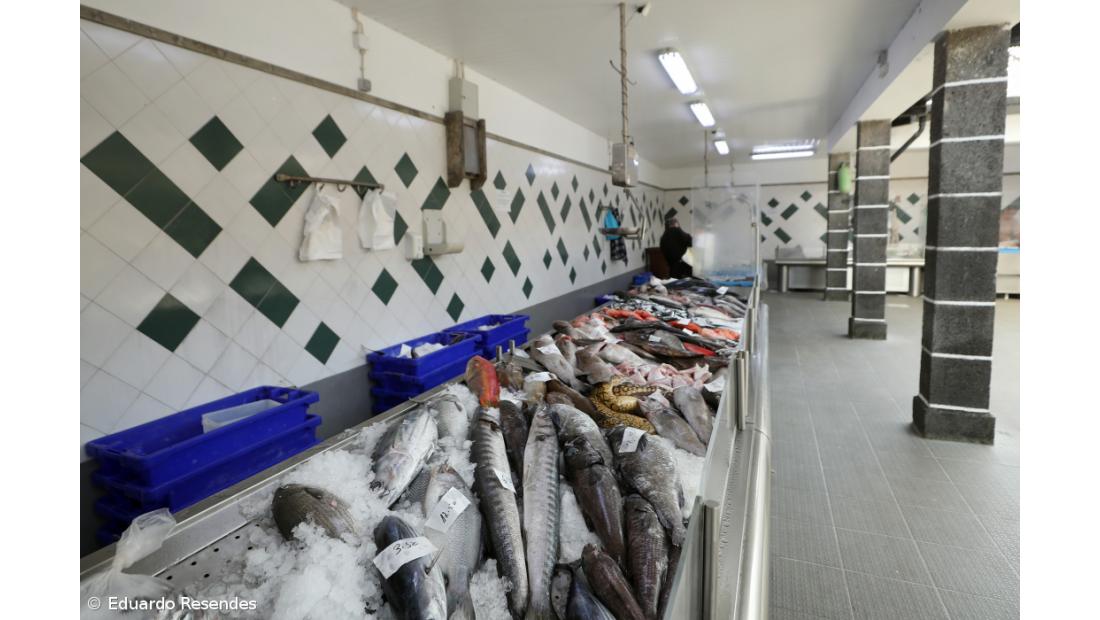 Com o Mercado da Graça de volta à praça central, comerciantes querem resgatar os clientes perdidos – Imagem 5