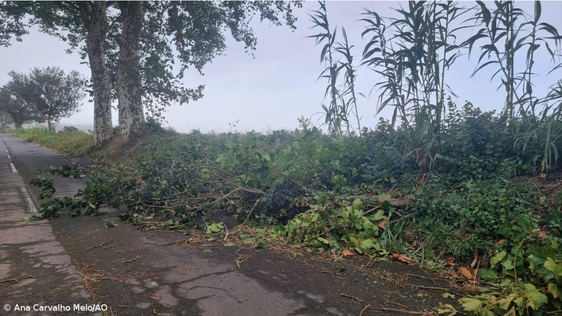 São Miguel e Santa Maria sem “ocorrências de maior” e com “noite tranquila” – Imagem 4