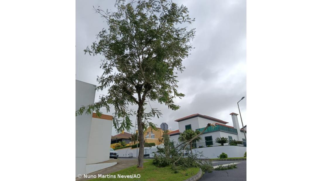 São Miguel e Santa Maria sem “ocorrências de maior” e com “noite tranquila” – Imagem 7