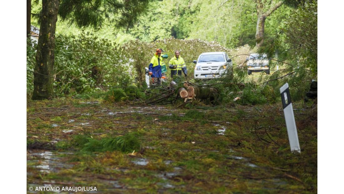 Proteção Civil dos Açores regista 196 ocorrências e 16 pessoas realojadas – Imagem 2