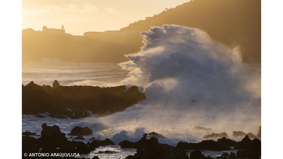Proteção Civil dos Açores regista 196 ocorrências e 16 pessoas realojadas – Imagem 3