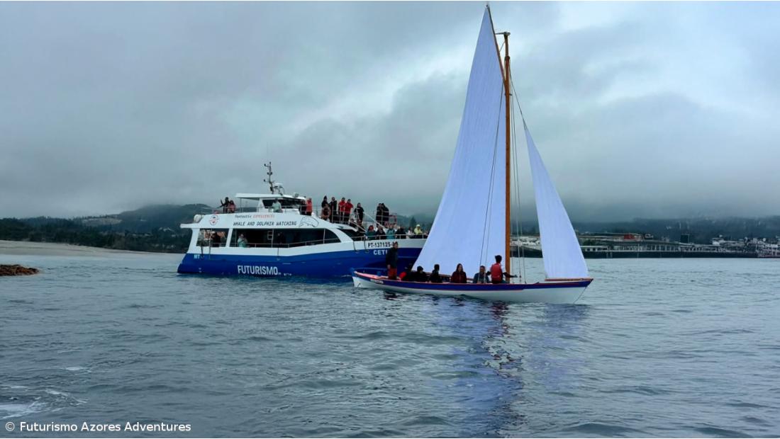 Oficina no Pico mantém viva a tradição dos botes baleeiros açorianos – Imagem 2