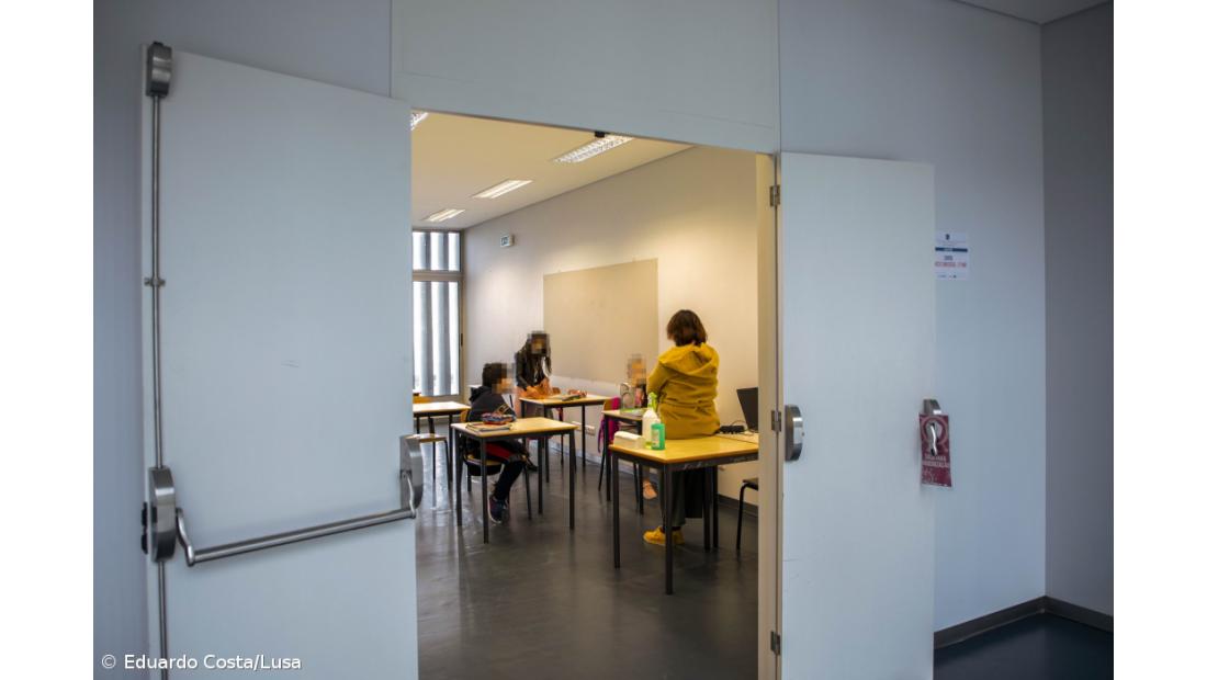 Infestação de pulgas obriga a fechar escolas básicas e profissional em Rabo de Peixe