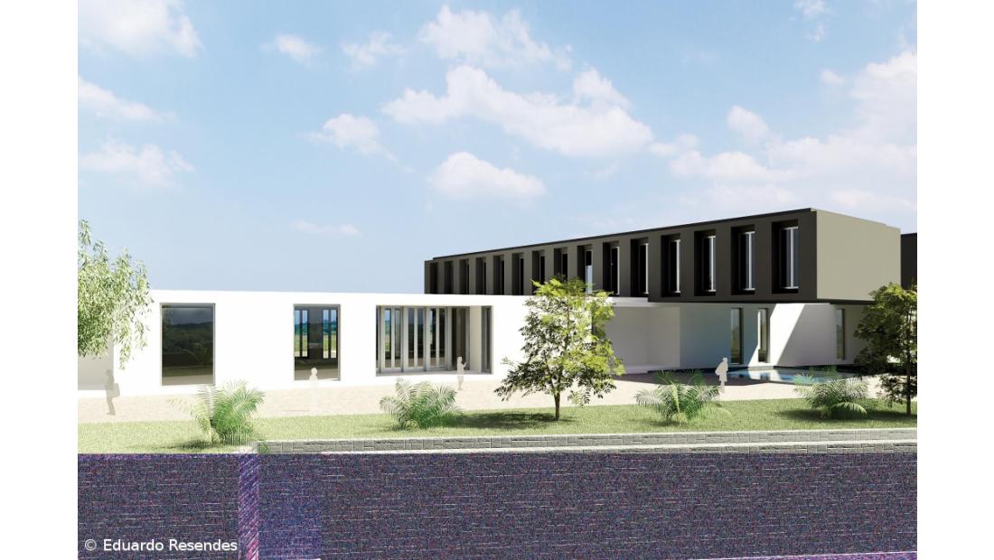 Nova infestação de pulgas junto à Escola Profissional da Ribeira Grande