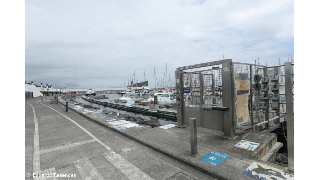 TdC acusa Governo de desorçamentar despesa através da Portos dos Açores